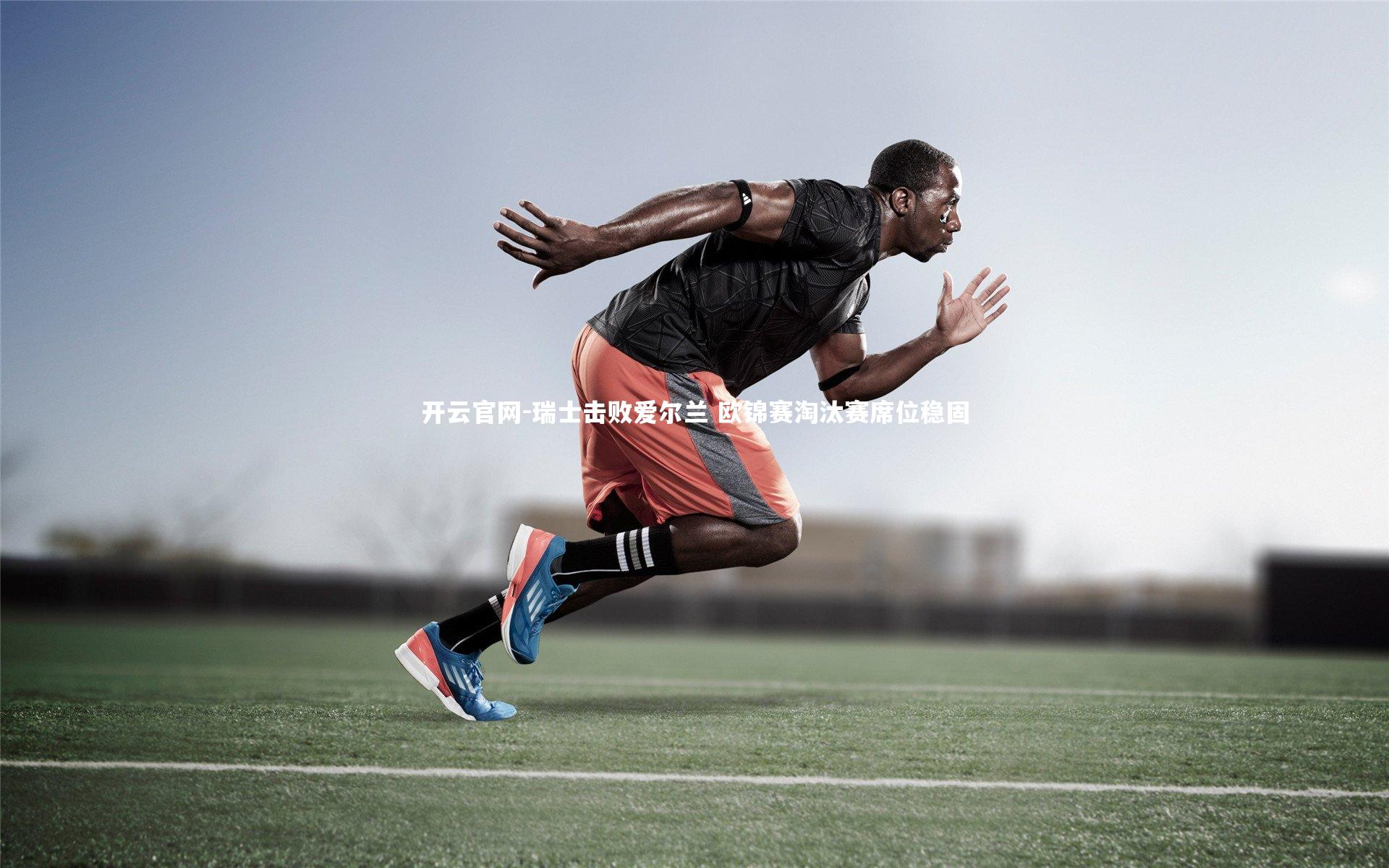 开云官网-瑞士击败爱尔兰 欧锦赛淘汰赛席位稳固-第2张图片-开云官网