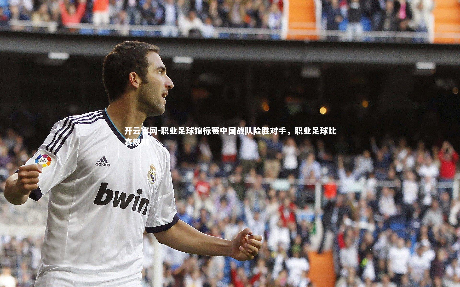 开云官网-职业足球锦标赛中国战队险胜对手，职业足球比赛规则-第1张图片-开云官网